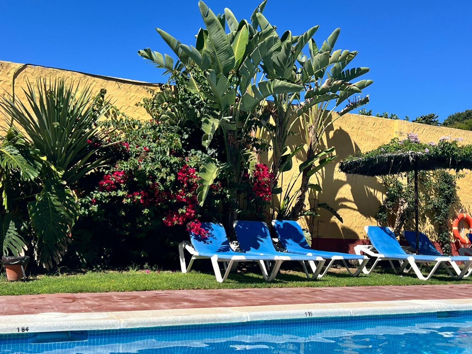 Hotel Pinomar エル・プエルト・デ・サンタ・マリア エクステリア 写真